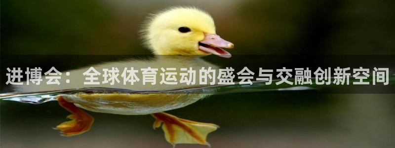 oety欧亿：进博会：全球体育运动的盛会与交融创新空间