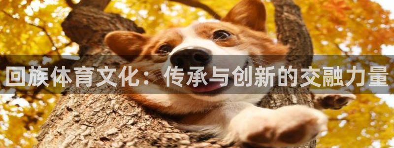 oety欧亿：回族体育文化：传承与创新的交融力量