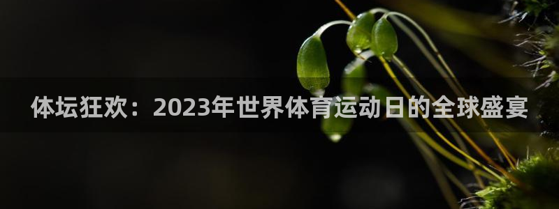 oety欧亿：体坛狂欢：2023年世界体育运动日的全球盛宴