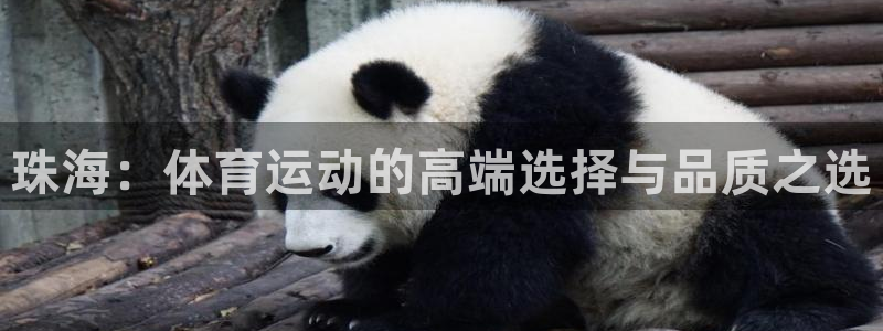 oety欧亿：珠海：体育运动的高端选择与品质之选